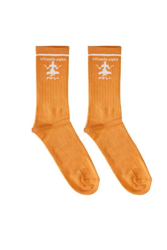 Vitamin Aqua B+ Socks